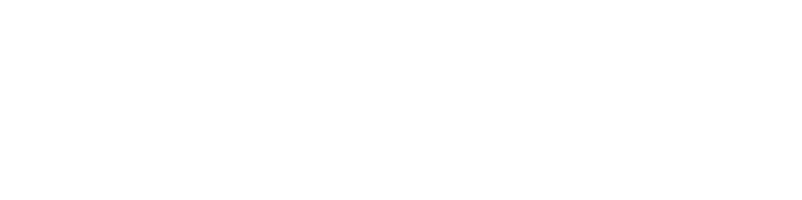Camel Company