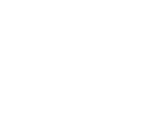 Virgin Megastore